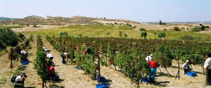 Hazır Tur Acentesi Yazılımı - Tur Acentesi Sitesi - Tur Acentesi Yazılımı