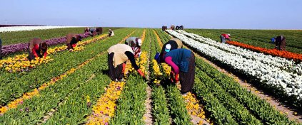 Hazır Tur Acentesi Yazılımı - Tur Acentesi Sitesi - Tur Acentesi Yazılımı