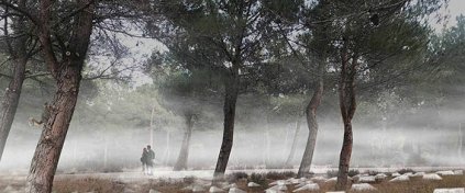 Hazır Tur Acentesi Yazılımı - Tur Acentesi Sitesi - Tur Acentesi Yazılımı
