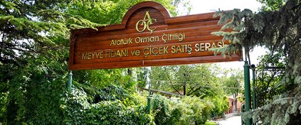 Hazır Tur Acentesi Yazılımı - Tur Acentesi Sitesi - Tur Acentesi Yazılımı
