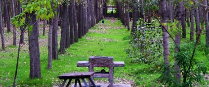 Hazır Tur Acentesi Yazılımı - Tur Acentesi Sitesi - Tur Acentesi Yazılımı