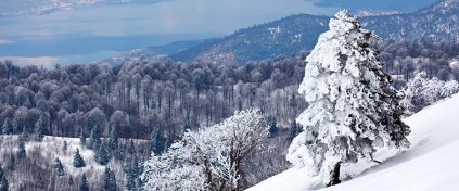 Hazır Tur Acentesi Yazılımı - Tur Acentesi Sitesi - Tur Acentesi Yazılımı